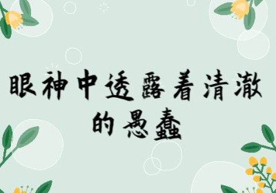 眼神中透露着清澈的愚蠢是什么意思？