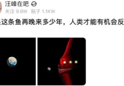 无所谓,我会出手是什么梗？