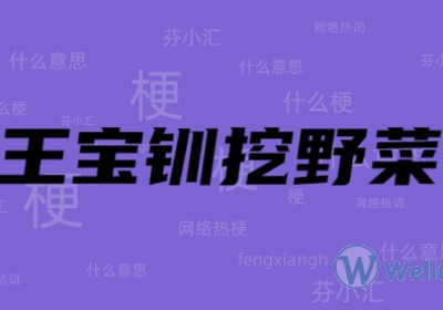 王宝钏挖野菜是什么梗？拒绝恋爱脑