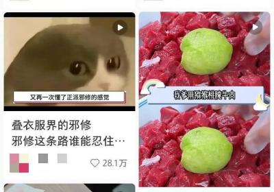 邪修-网络流行语