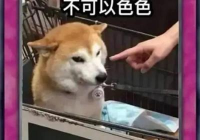 不可以色色