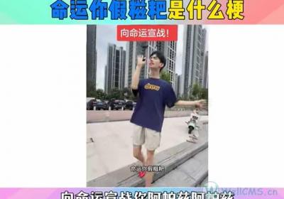 命运你假糍粑是什么梗