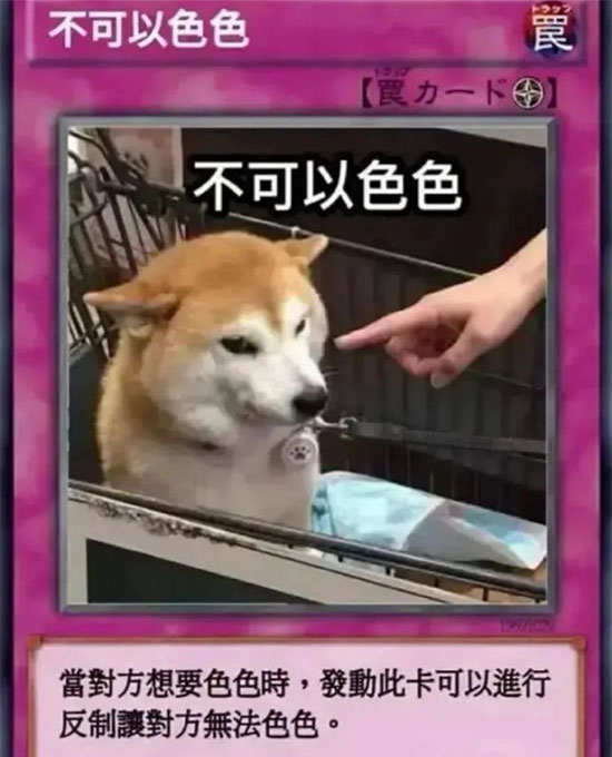 不可以色色表情包