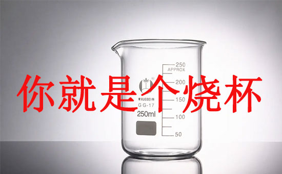烧杯是什么意思网络用语