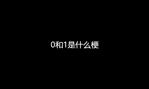 0和1是什么梗